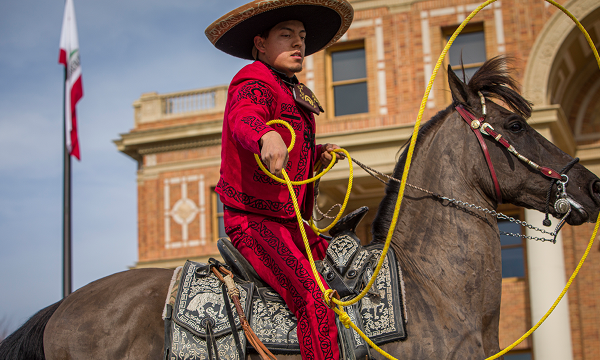 Image of rider on a horse with a lasso in motion.
